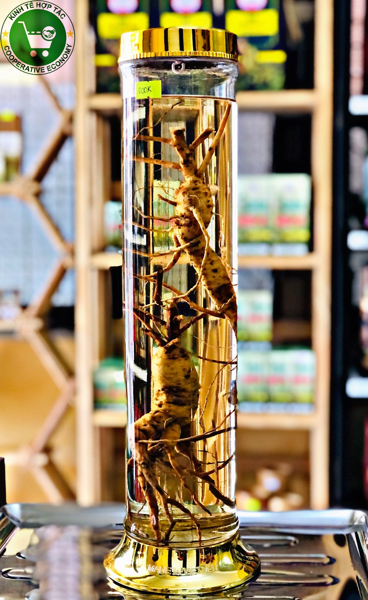 Ảnh của Rượu sâm bố chính ( bình  - 1.8 l )