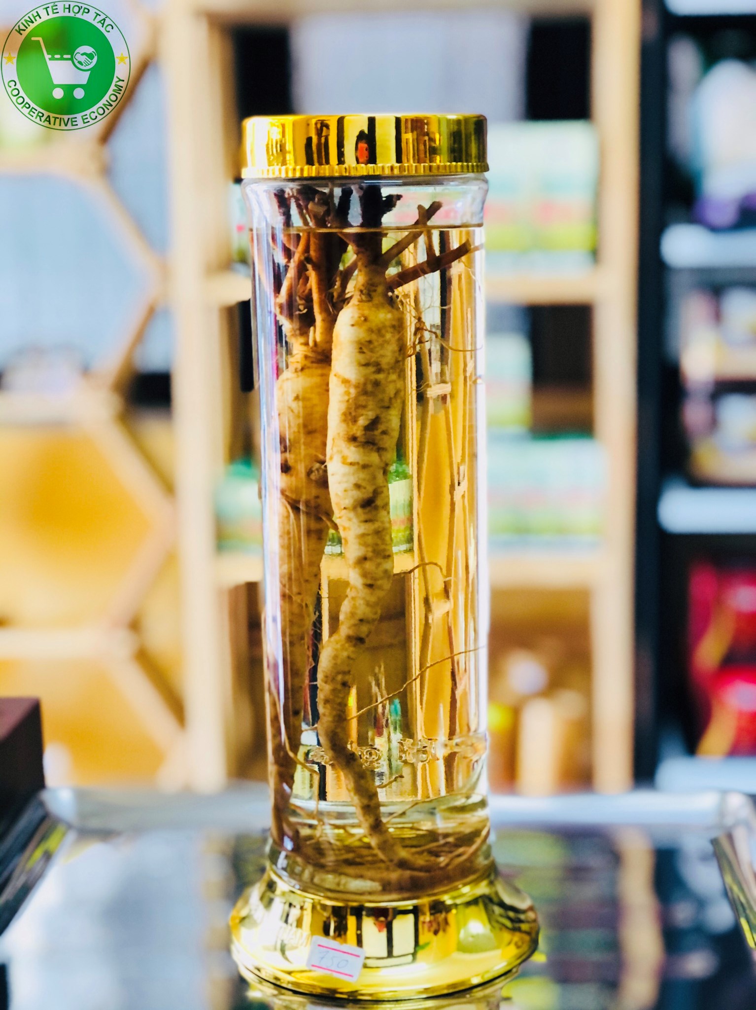 Ảnh của Rượu sâm bố chính ( bình - 1.48 l )