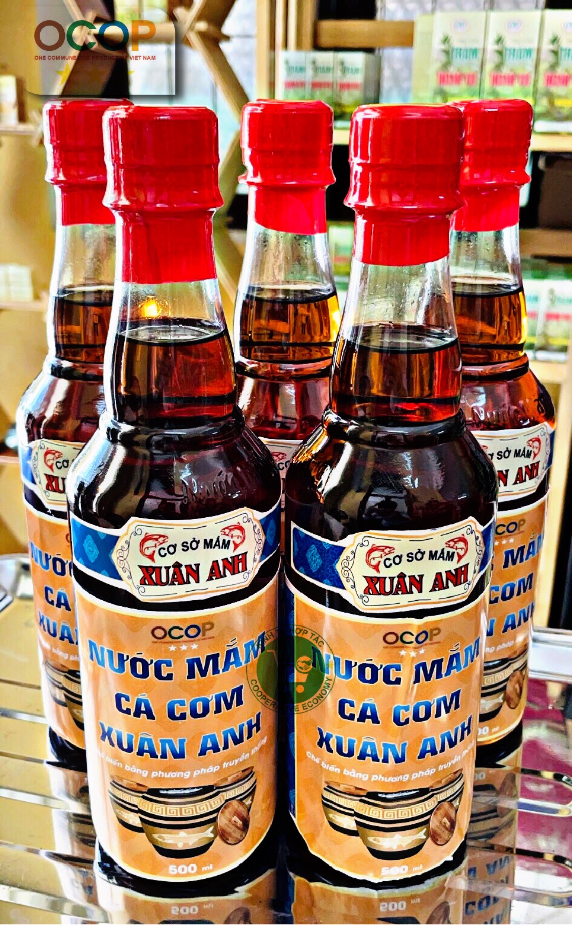 Ảnh của Nước Mắm Cá Cơm Xuân Anh (Chai thủy tinh/500ml)