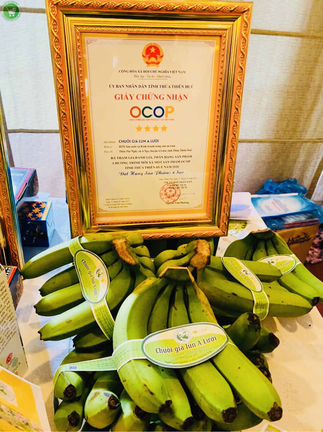 Picture of A Luoi dwarf banana (kg)