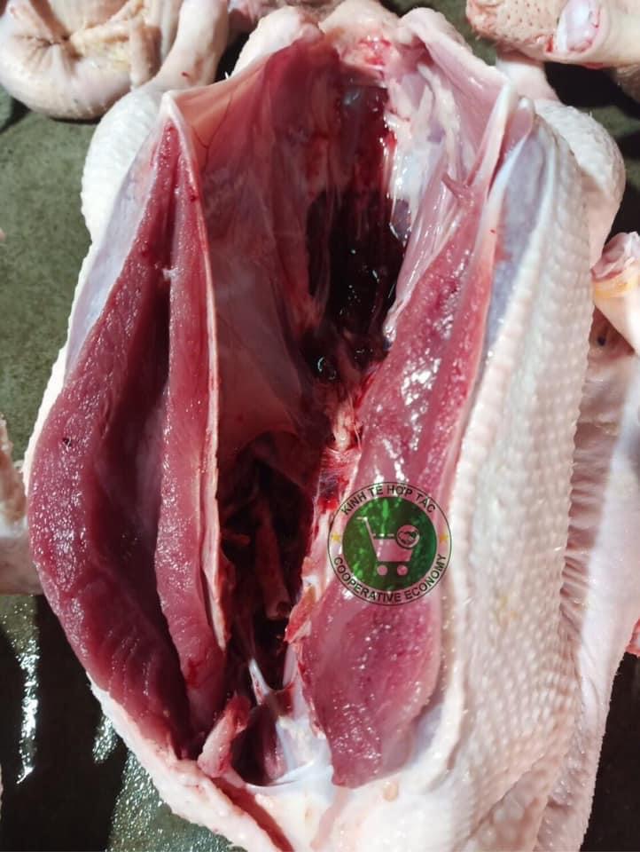 Ảnh của Vịt cỏ làm sạch (Kg)