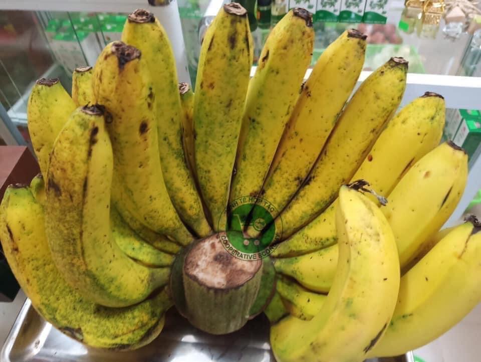 Ảnh của Chuối Laba Đà Lạt (kg)