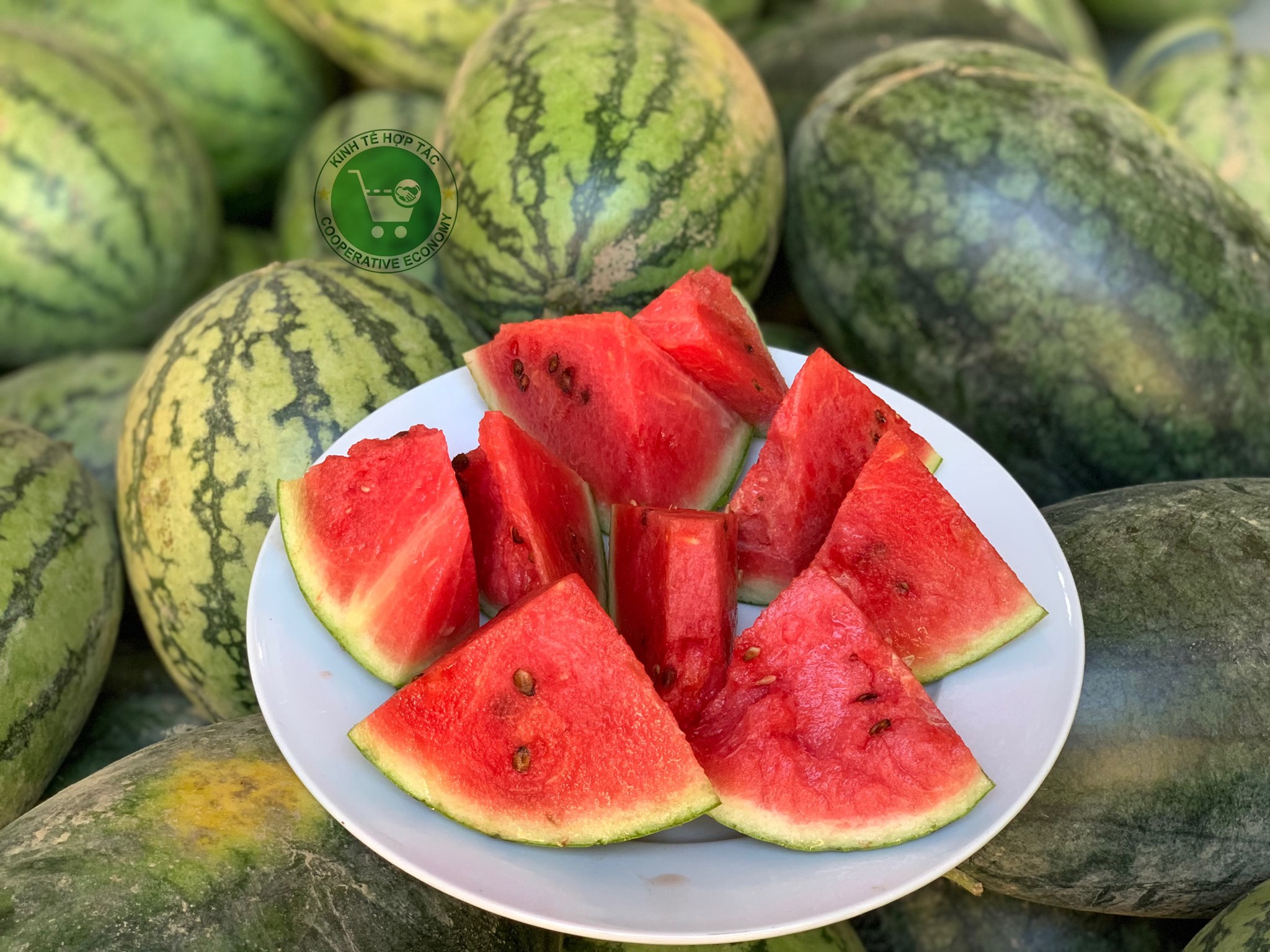 Ảnh của Dưa Hấu Quảng Thành (kg)