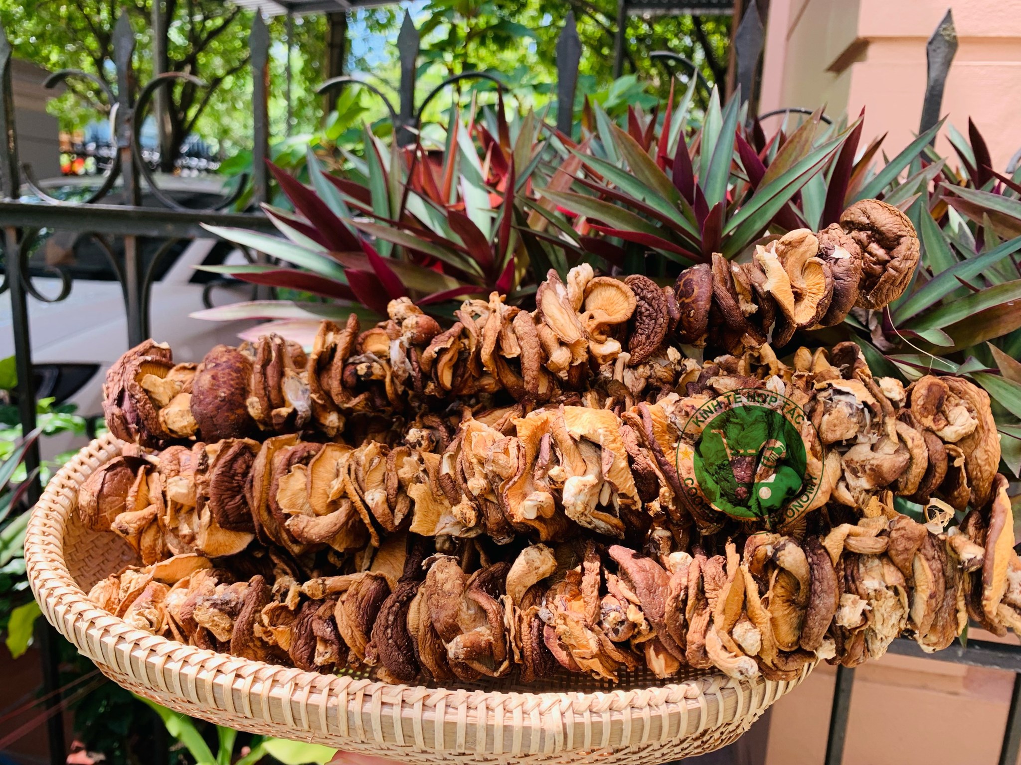 Ảnh của Nấm hương rừng sấy khô (kg)