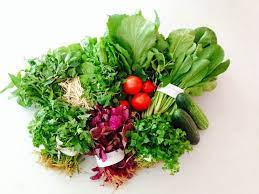 Ảnh của rau huu co