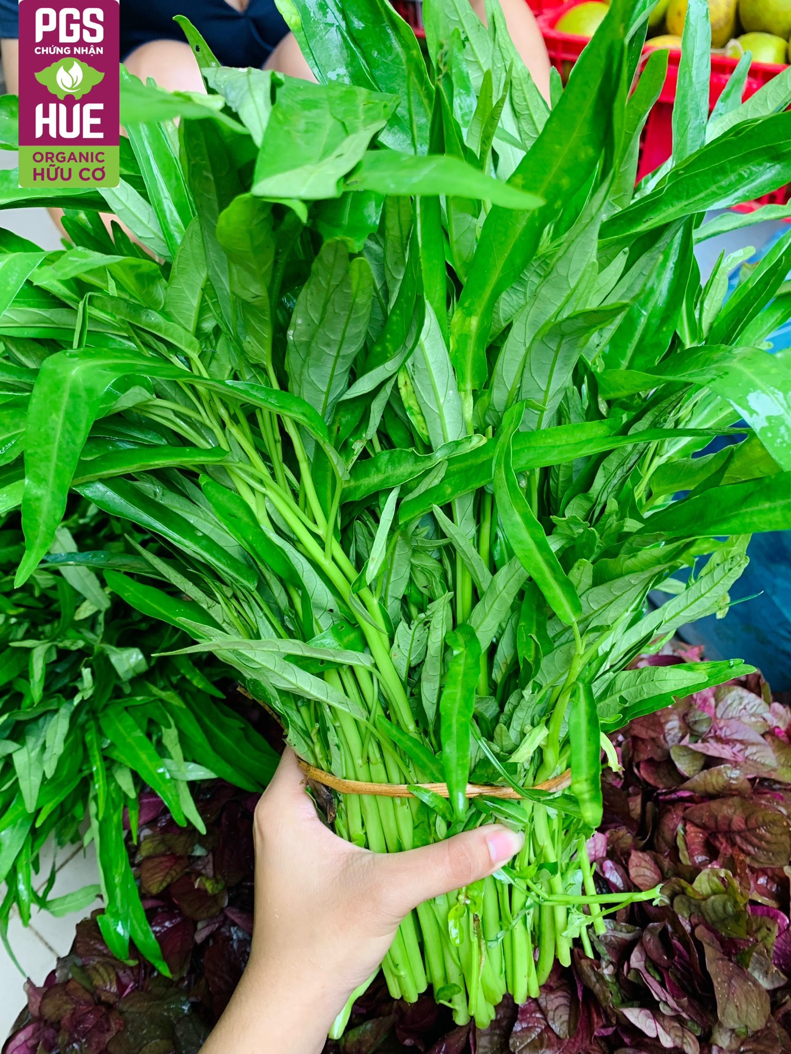 Ảnh của Rau muống hữu cơ Mỹ Lợi (kg)