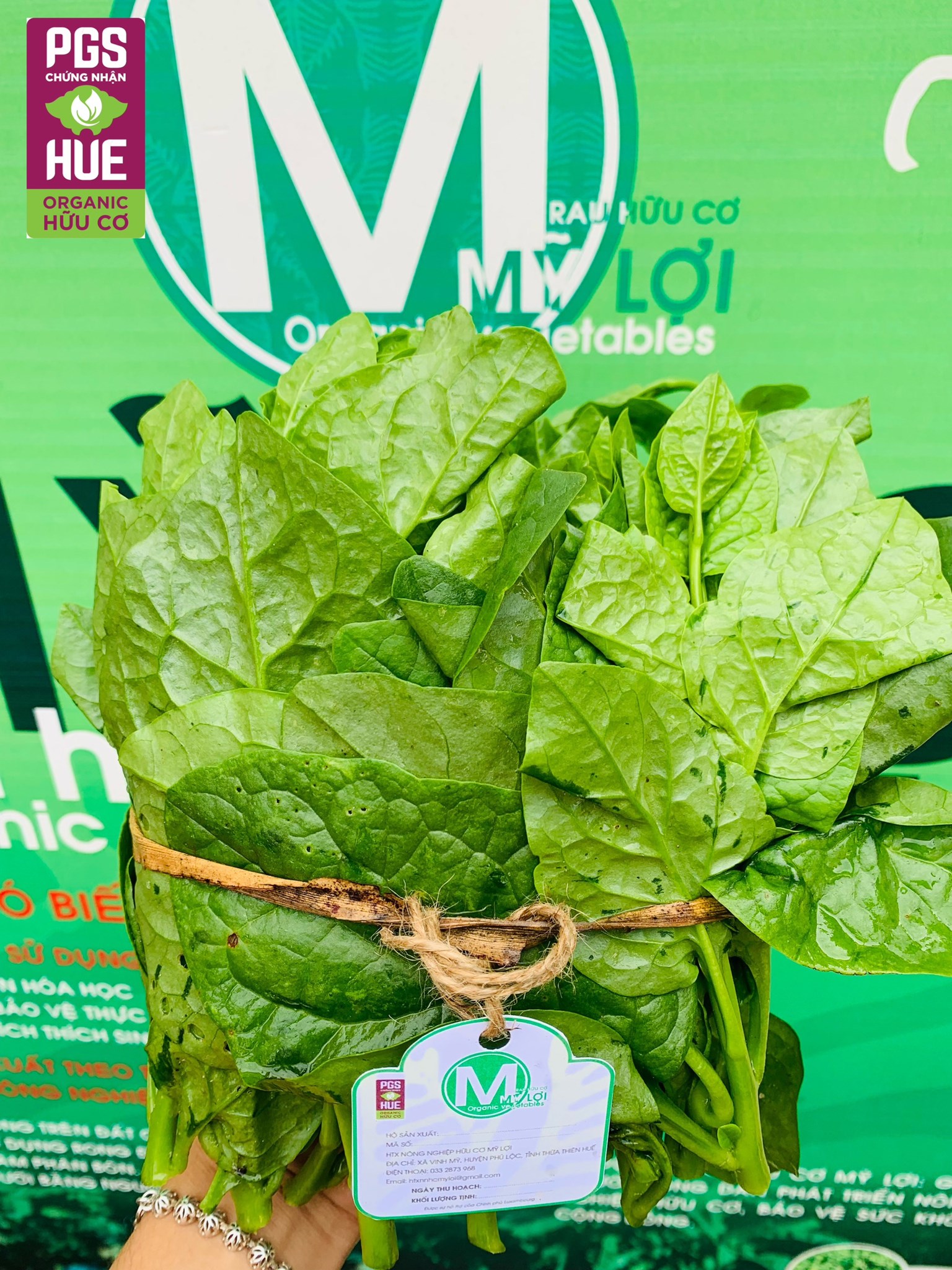 Ảnh của Rau Mồng Tơi Hữu Cơ Mỹ Lợi (Kg)