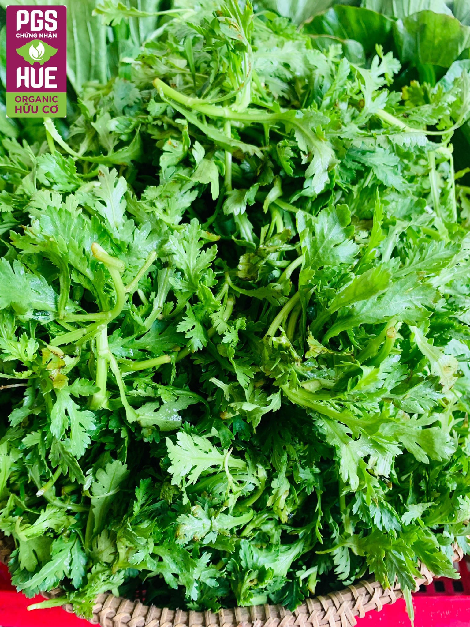 Ảnh của Rau Tần Ô hữu cơ Mỹ Lợi