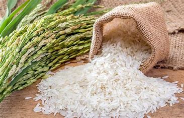 Ảnh của gạo hữu cơ hải lăng