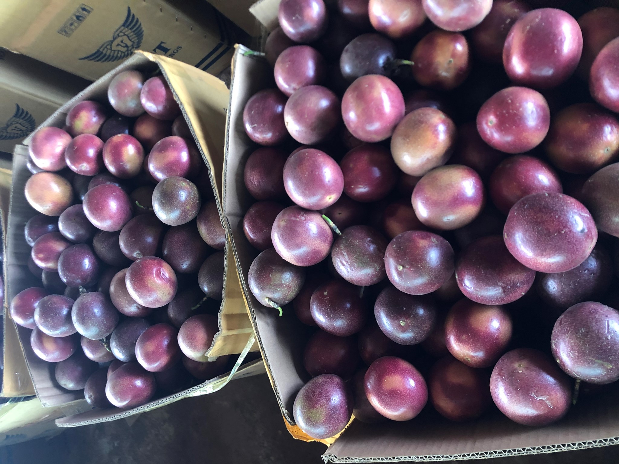 Ảnh của Chanh leo