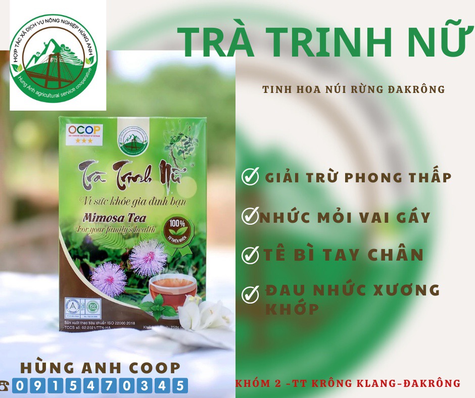 Ảnh của TRÀ TRINH NỮ
