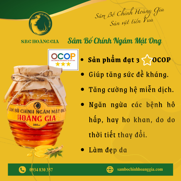 Ảnh của Sâm Bố Chính ngâm mật ong (hủ 380 ml)