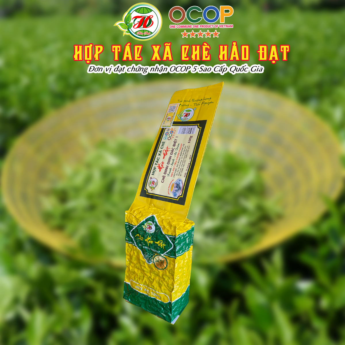 Ảnh của Chè Tân Cương HẢO ĐẠT đinh đinh đặc biệt 1 (100g)