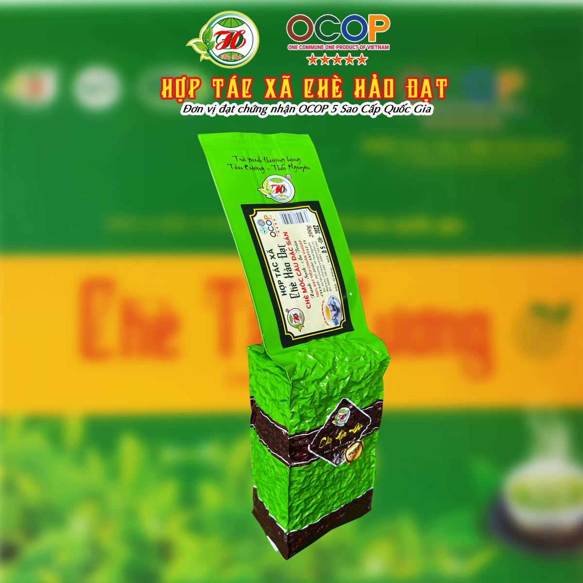 Ảnh của Chè Tân Cương HẢO ĐẠT móc câu đặc sản (200g)