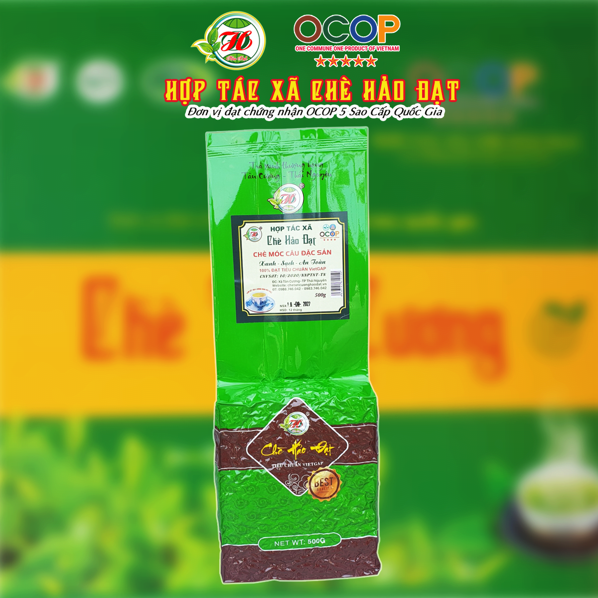 Ảnh của Chè Tân Cương HẢO ĐẠT móc câu đặc sản (500g)