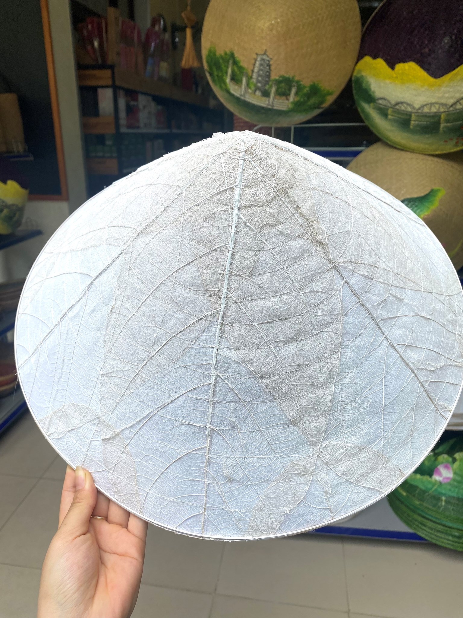 Ảnh của Nón Lá Bàng Rừng