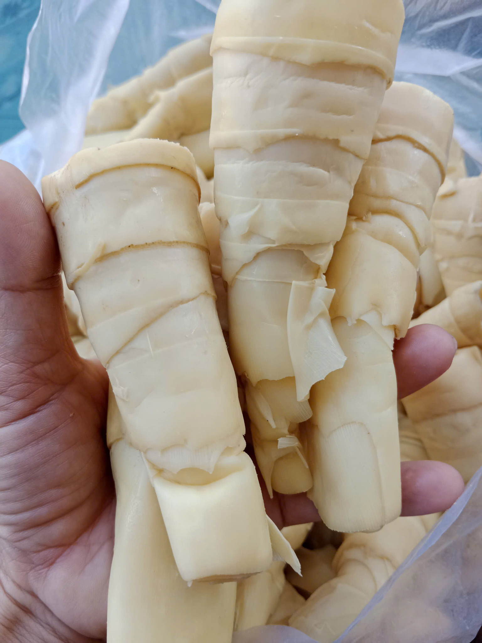 Ảnh của Măng rừng luộc A Lưới (kg)