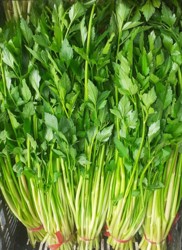 Ảnh của Cần Tây Nước Bạc Liêu (kg)