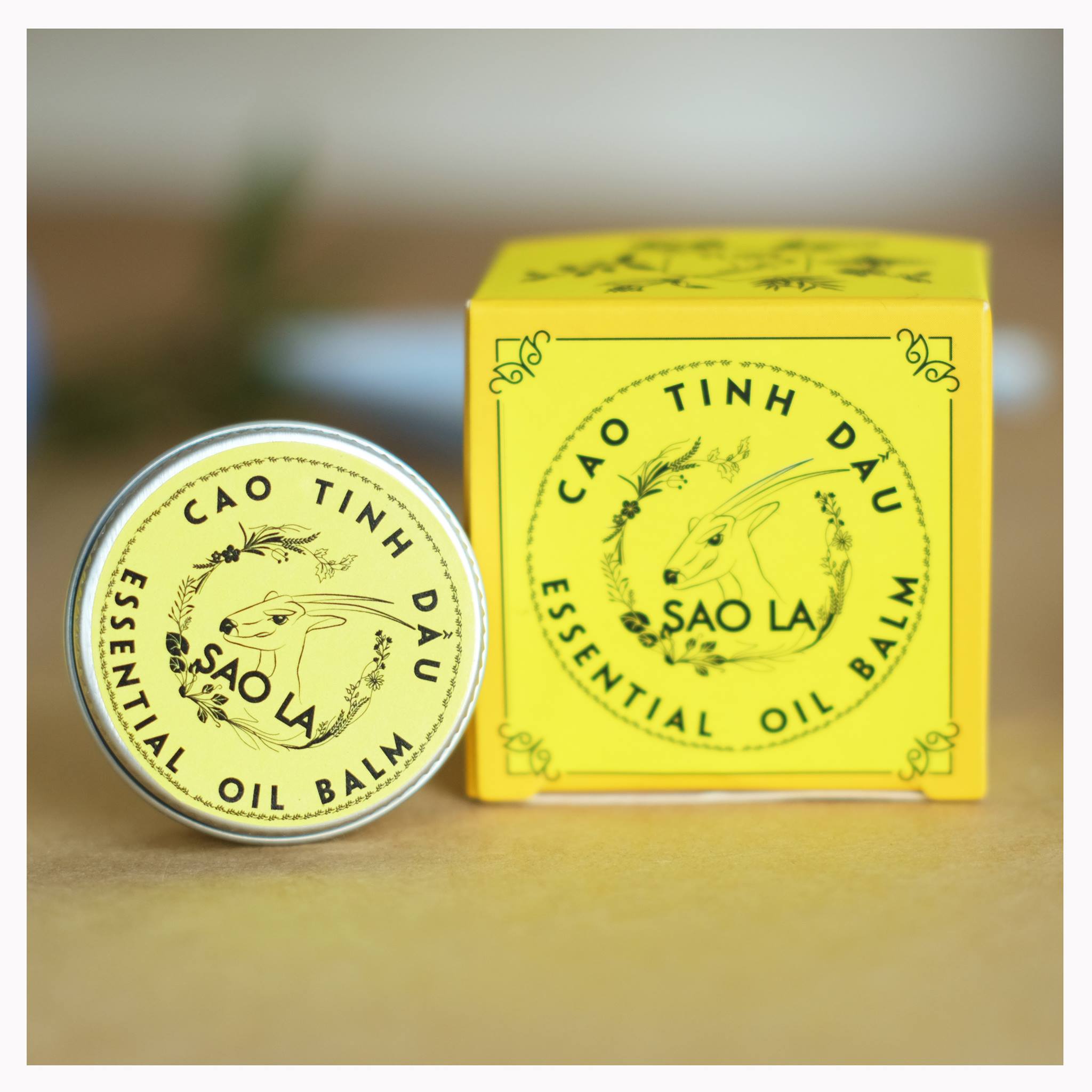 Ảnh của Cao tinh dầu Sao La (hộp 11g)